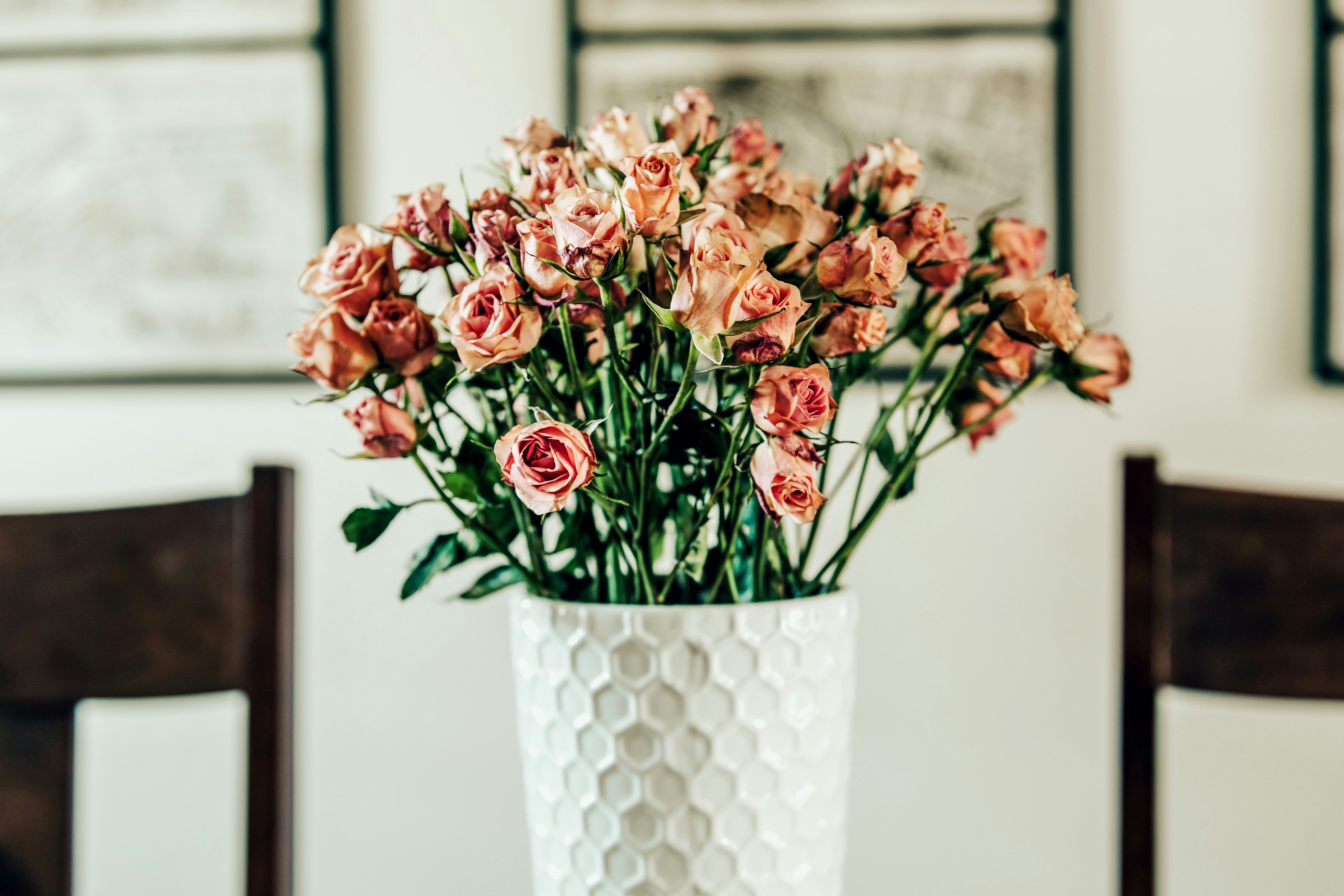 Photo by casey_hubbart