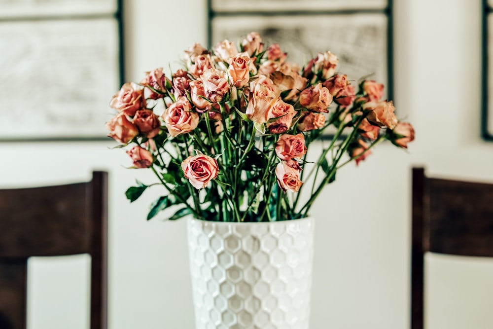 Foto ramo de rosas color durazno – Imagen Planta gratis en Unsplash