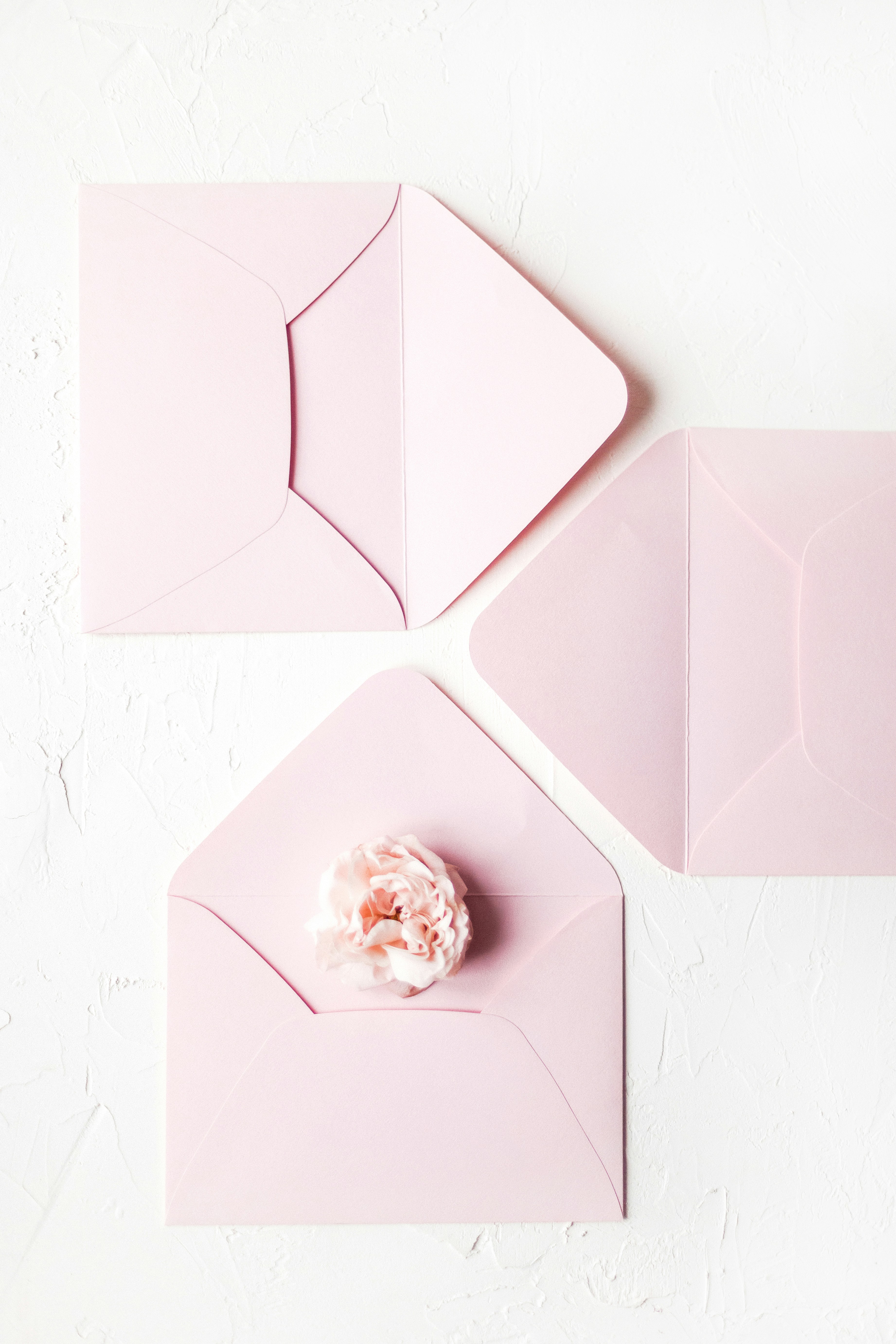 Avvolge rosa