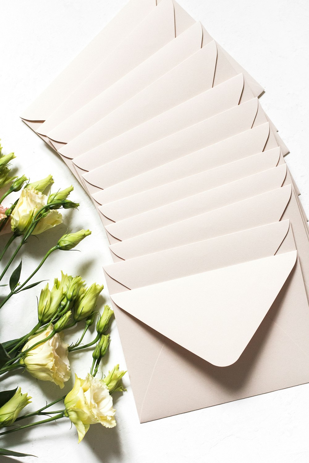 weißer Umschlag und Blume