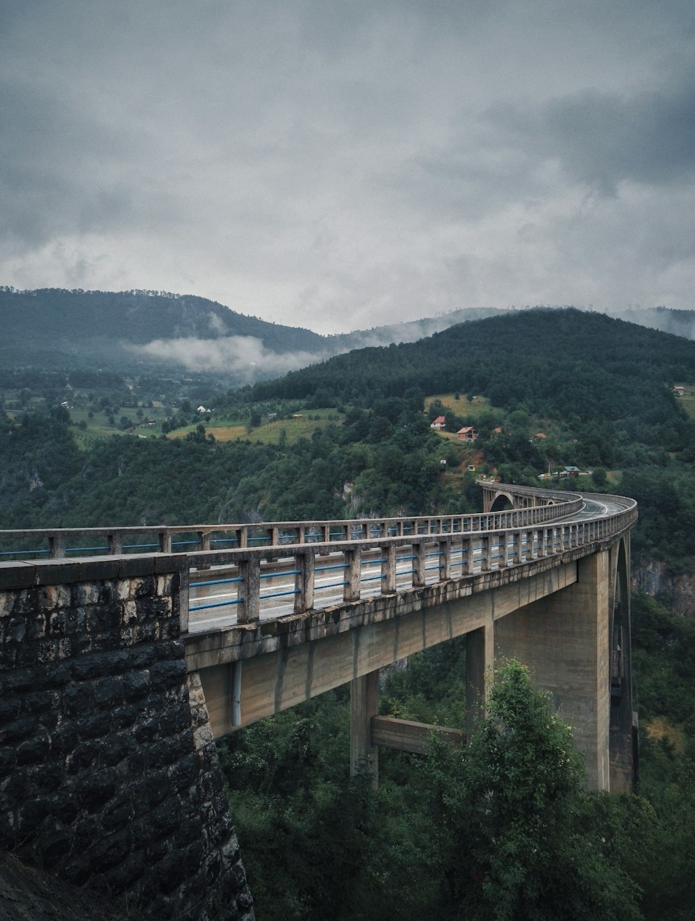 Hormigón gris sobre el puente de los árboles durante el día