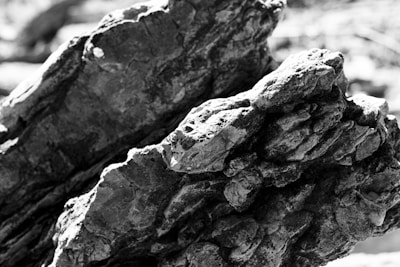 A black and white photograph capturing the texture and details of ancient stone tools found near megalithic sites.