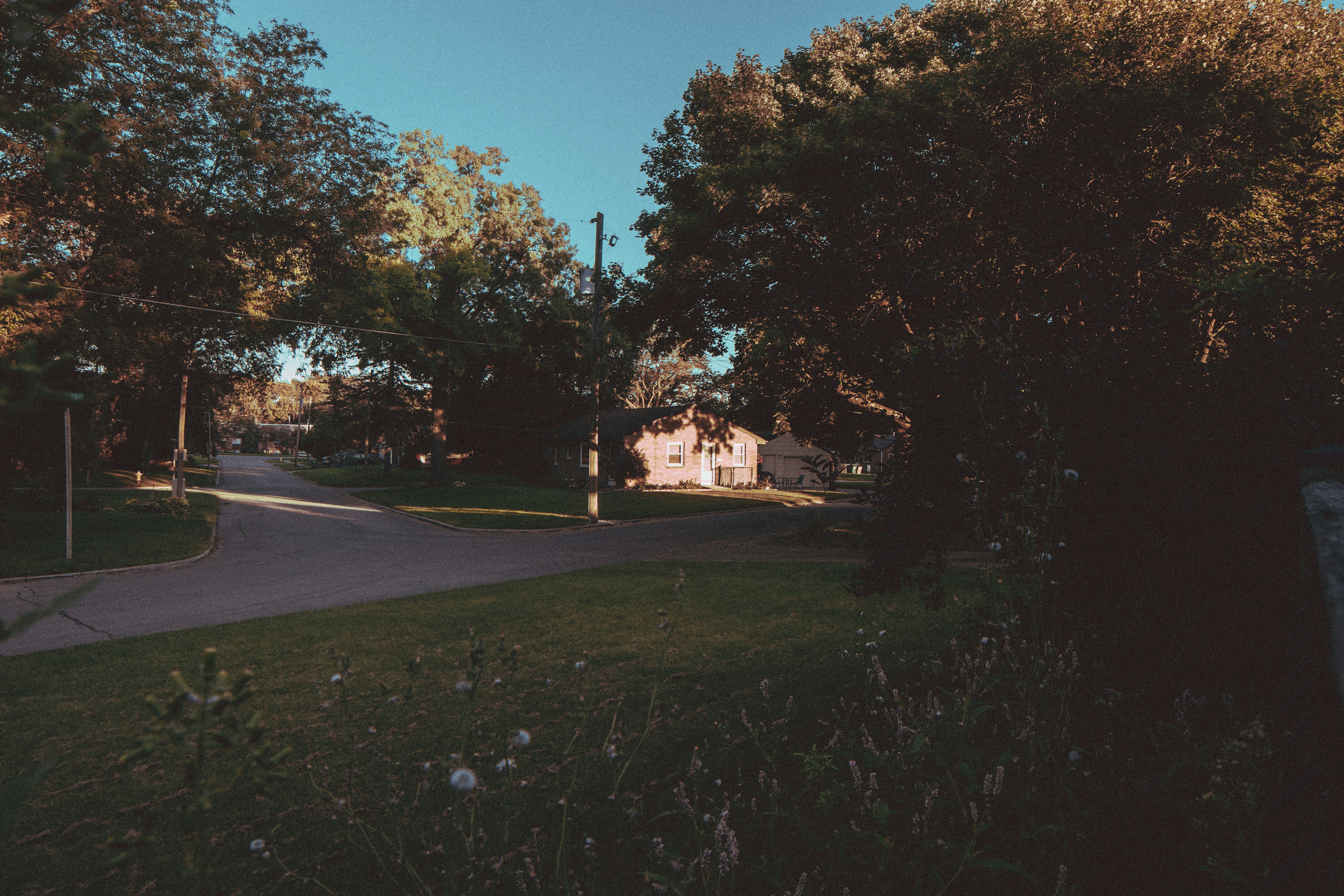 Photo by bitter_fruitt