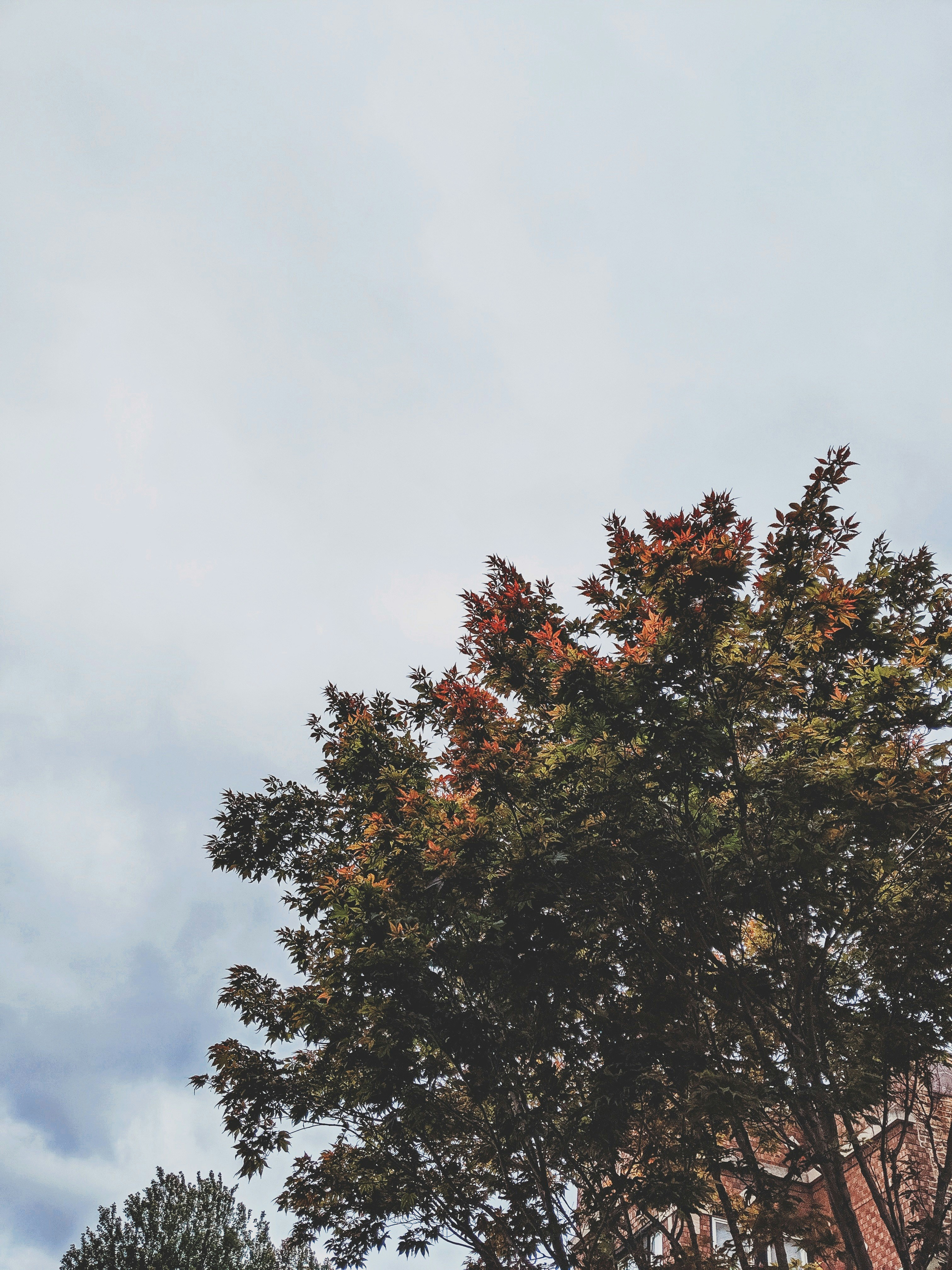 Photo by philcreates