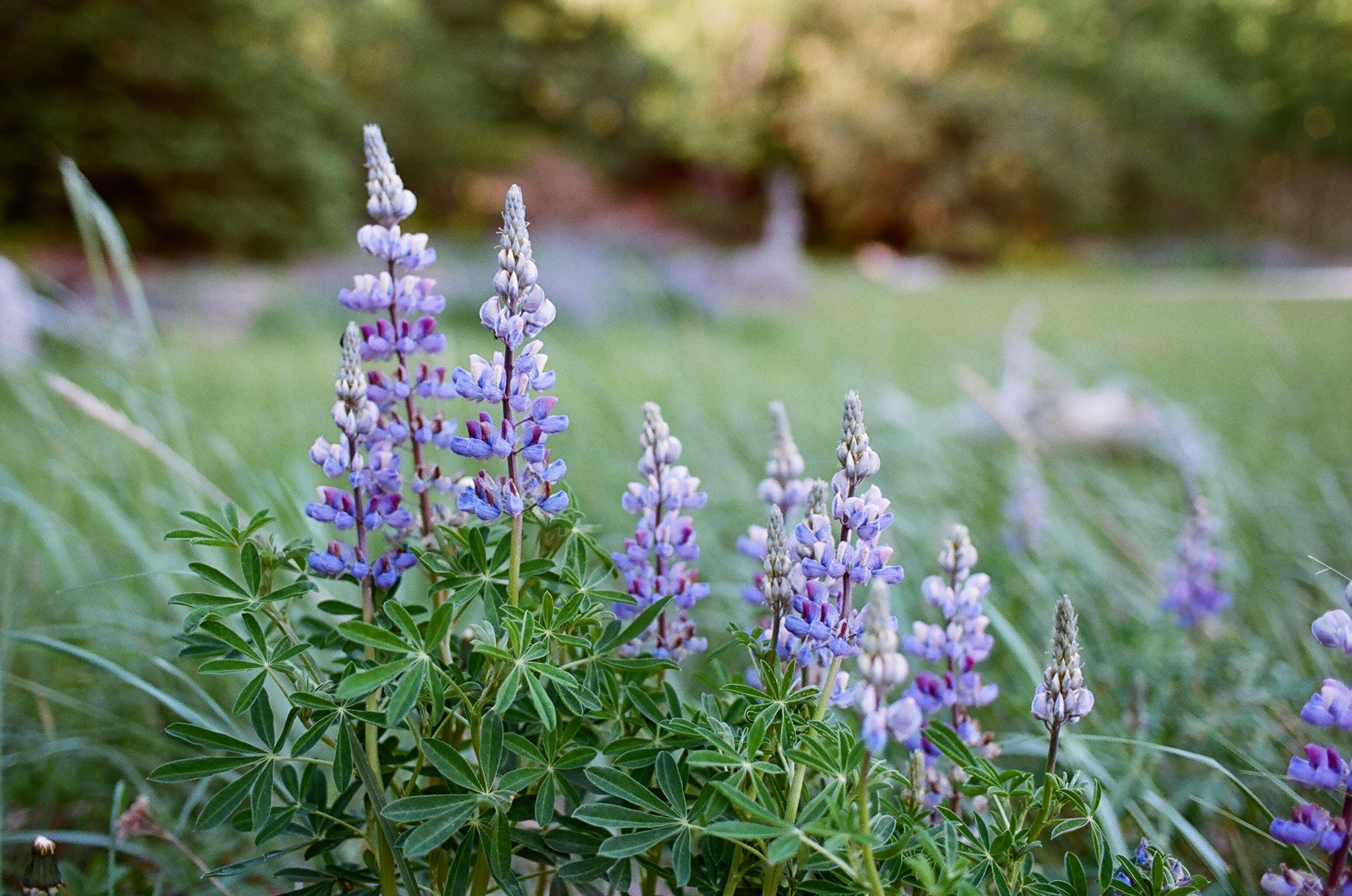 Photo by corinnegraves