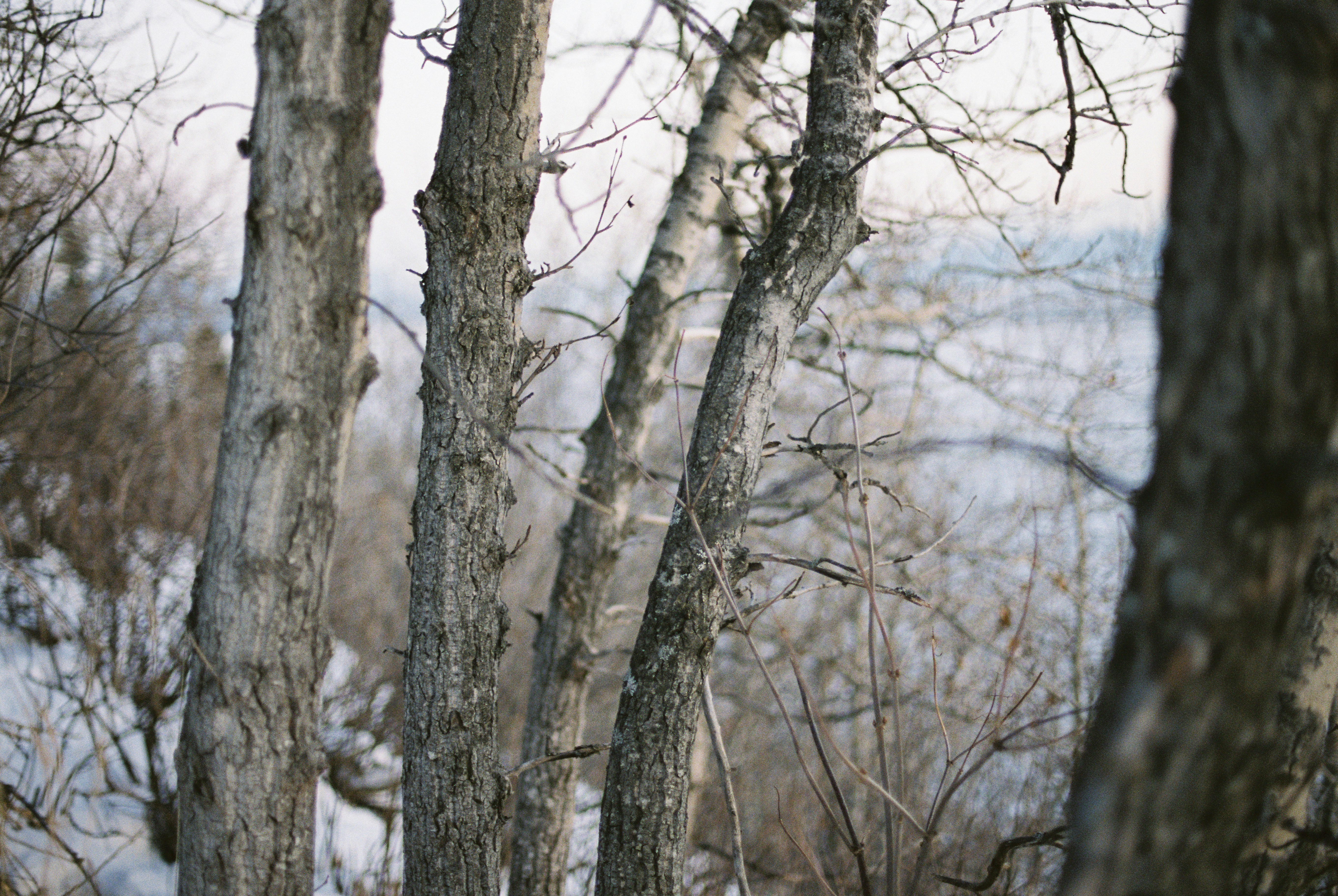 Photo by corinnegraves