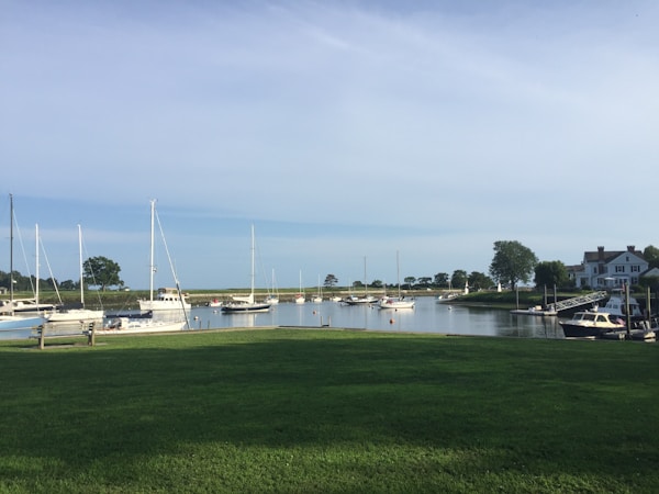 Welcome to Wellness Harbor: Your Gateway to a Healthier Lifestyle