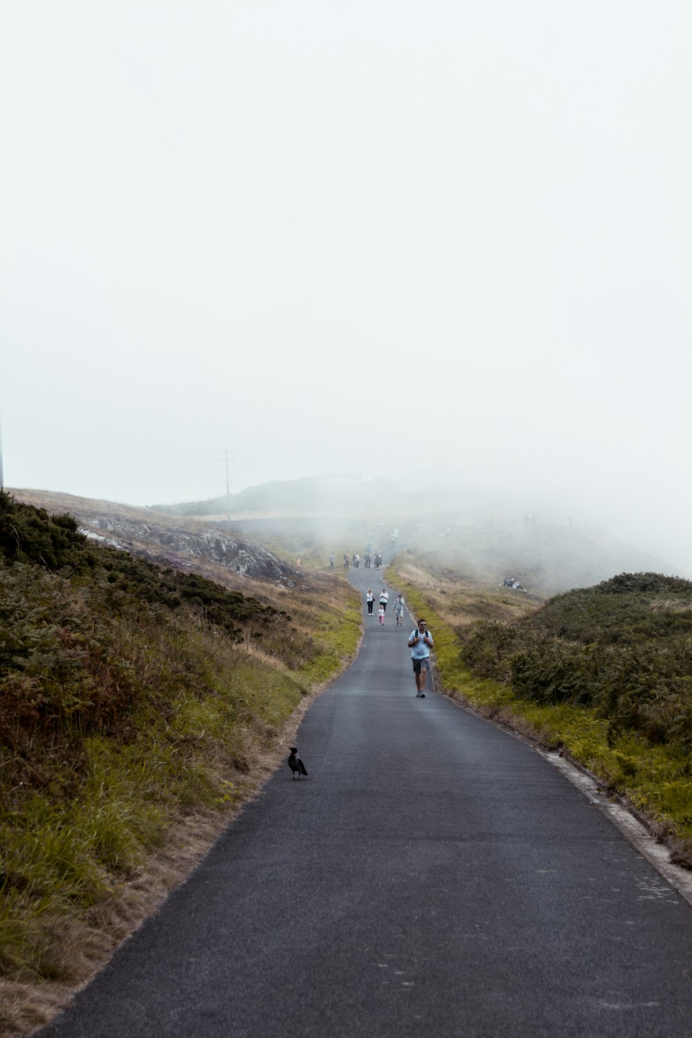 gray concrete road