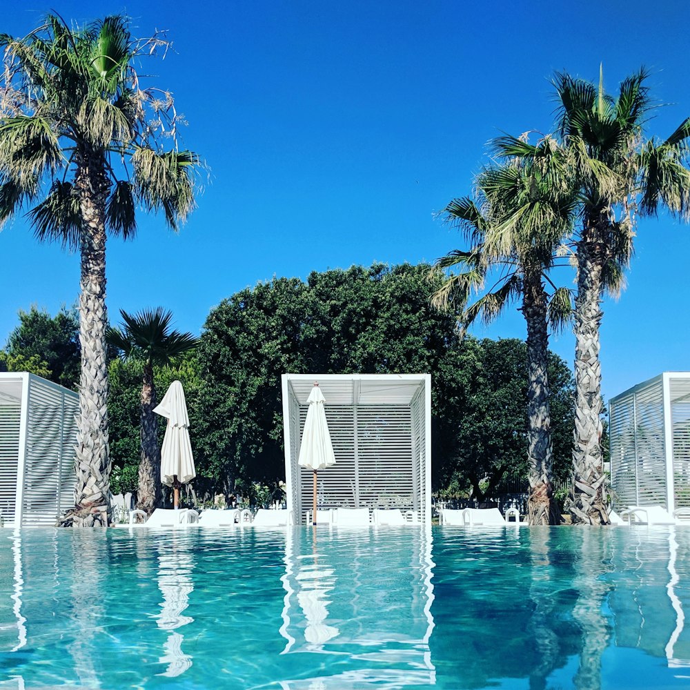 blue swimming pool