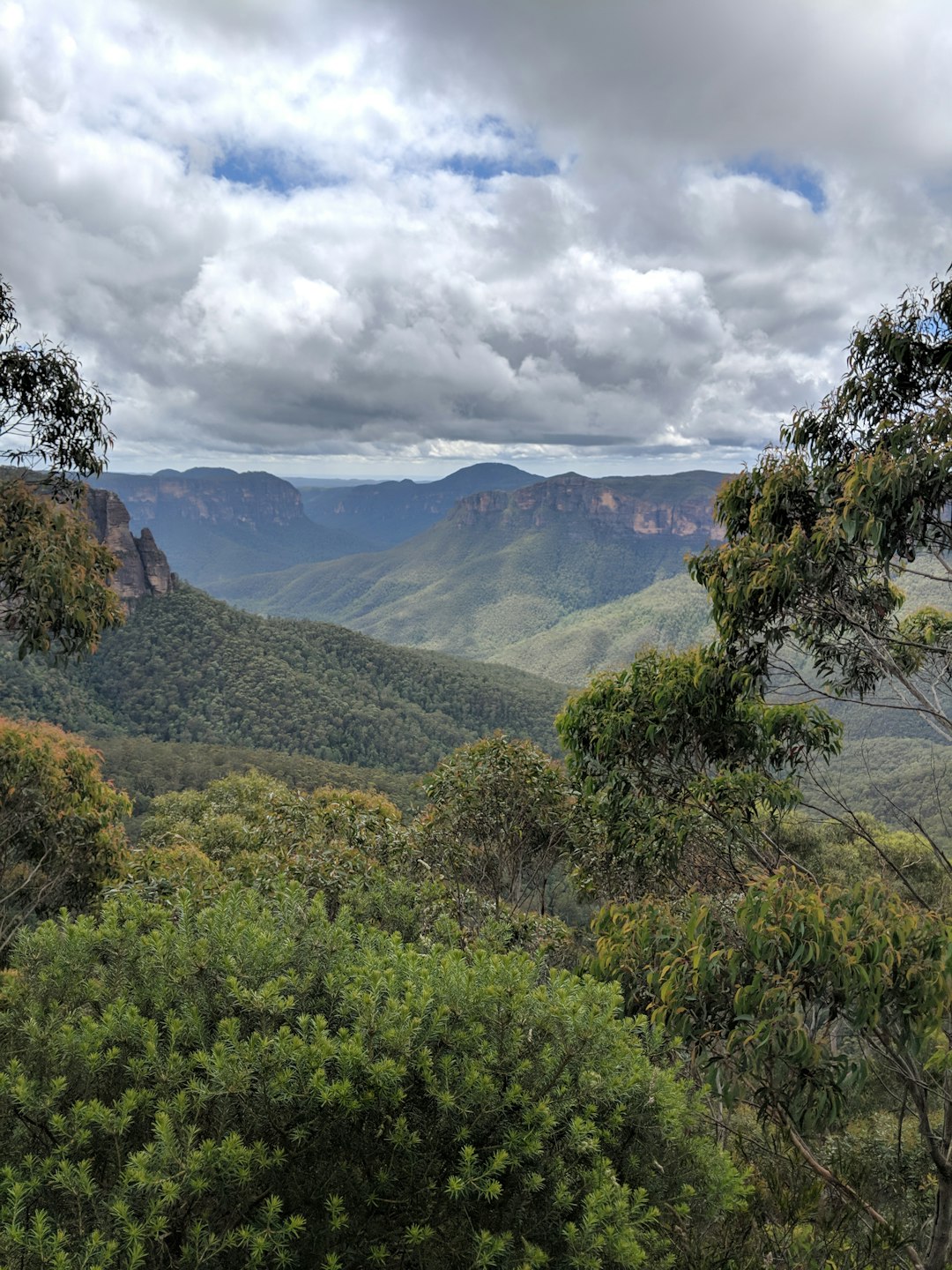 Nature reserve photo spot Blue Mountains Jenolan Caves