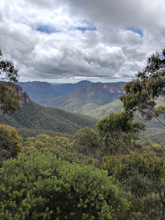 aerial view of forest in Blue Mountains National Park Australia