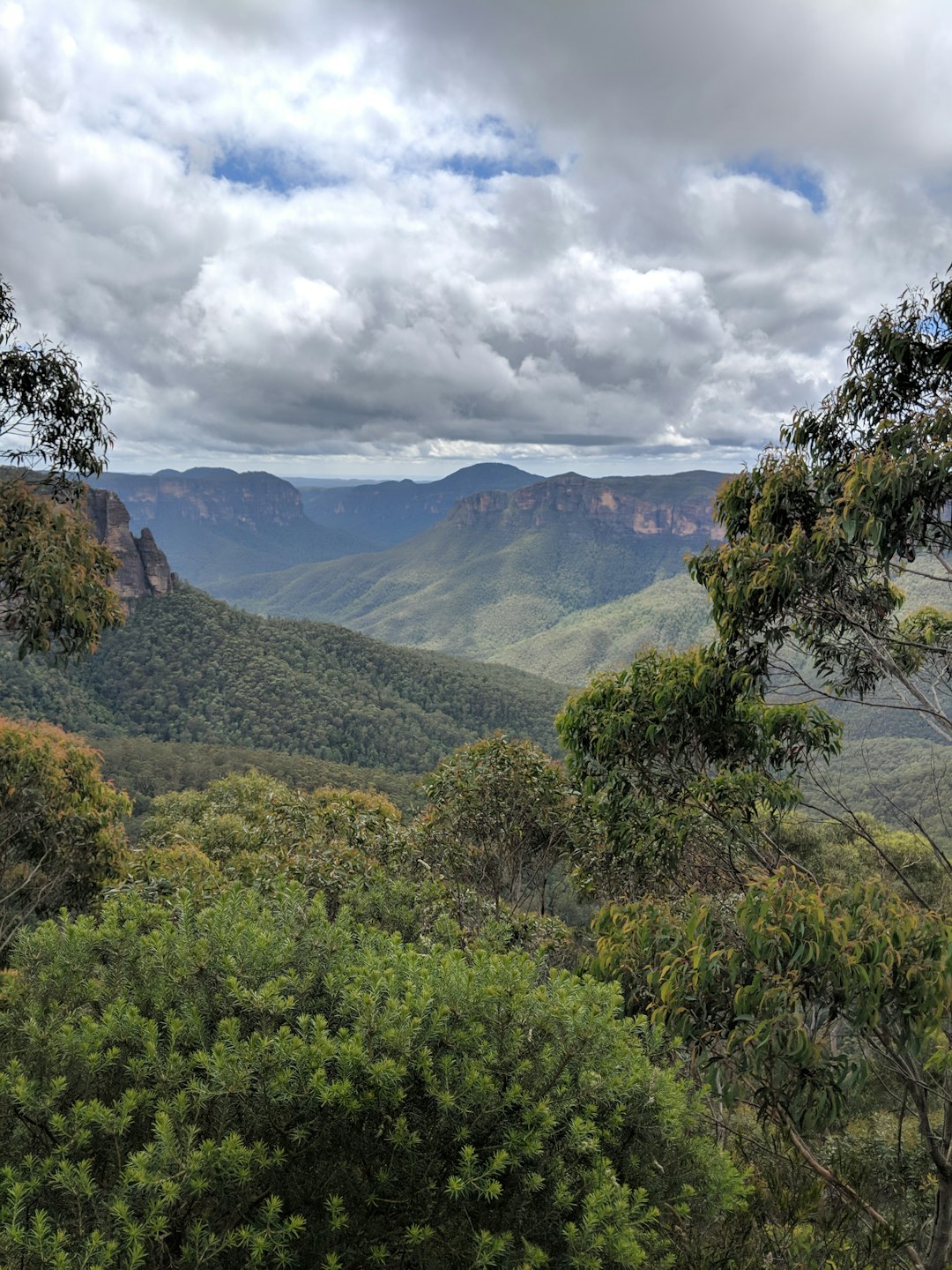 Nature reserve photo spot Blue Mountains NSW