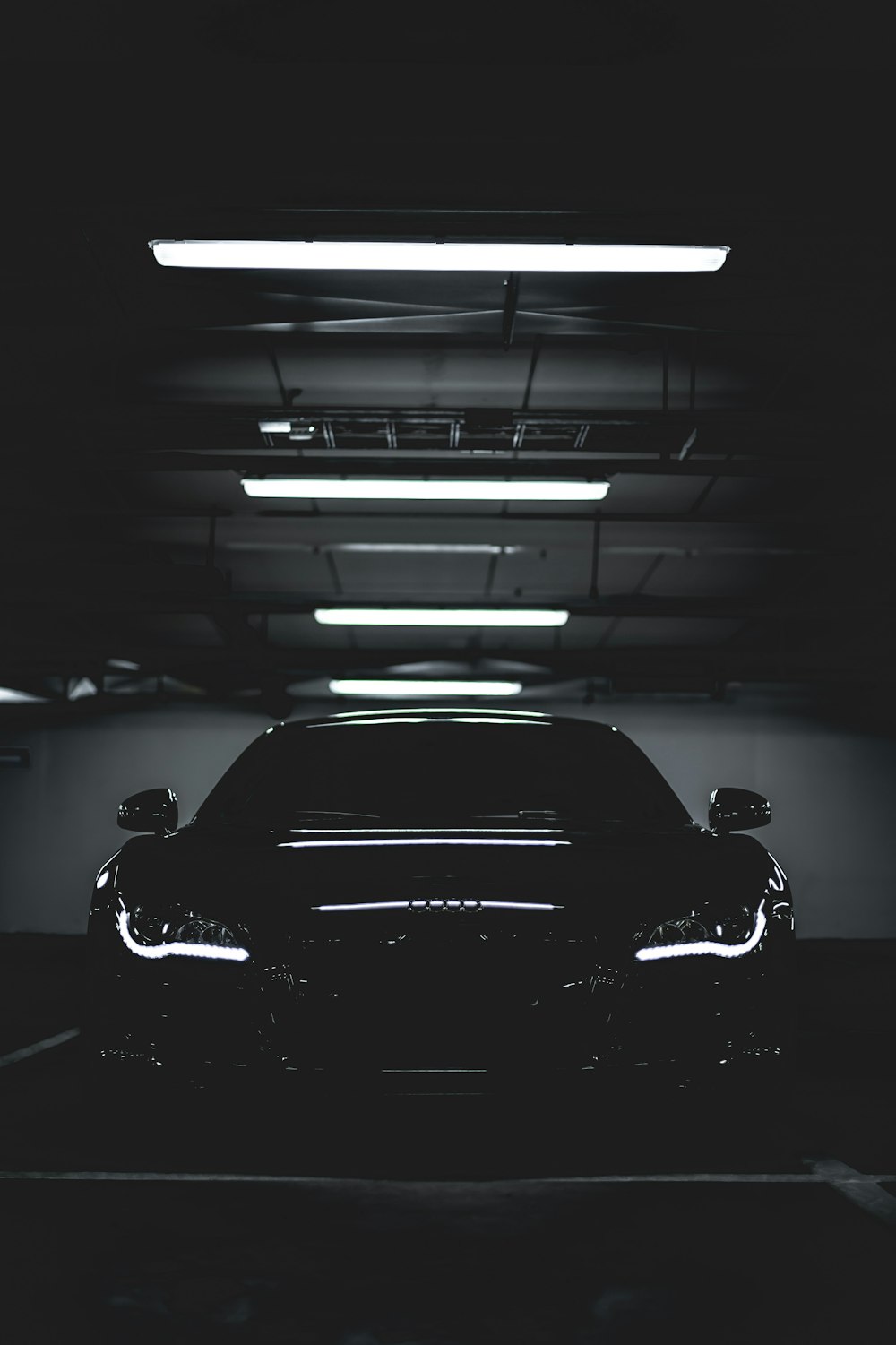 Foto Corrida de carros esportivos brancos e pretos na pista – Imagem de  Carro grátis no Unsplash