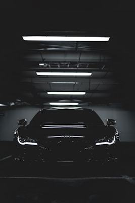 Pet Grooming Kit Professional