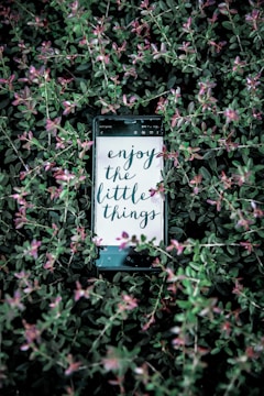 A smartphone is nestled among dense, green foliage with small, pink flowers. The screen displays an uplifting message: 'enjoy the little things' in stylish handwriting.