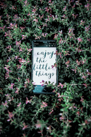 Close-up of a smartphone screen showing a personalized good morning message from Serenaviva against a soft pastel background.