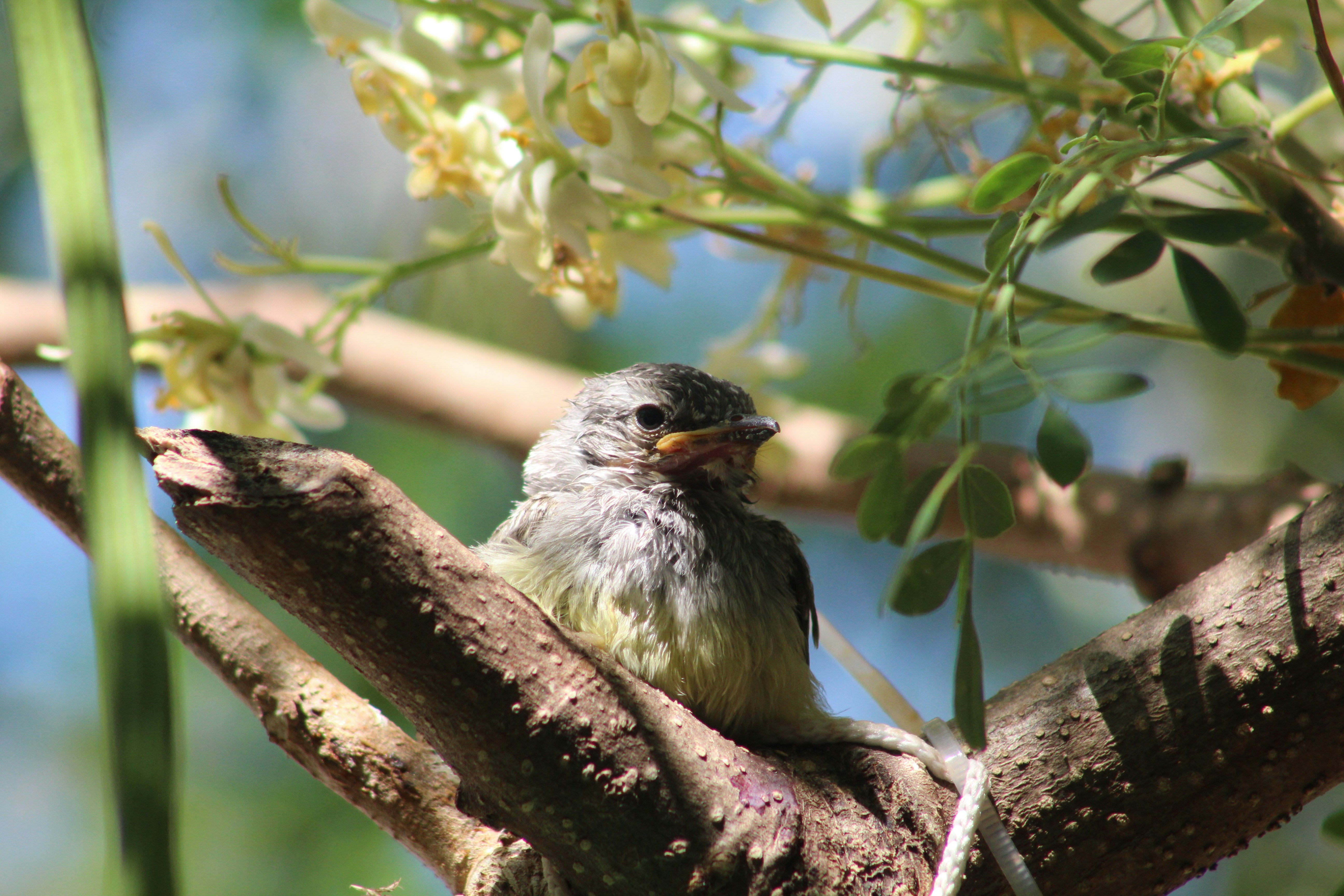 Photo by carmelita_rodrigues