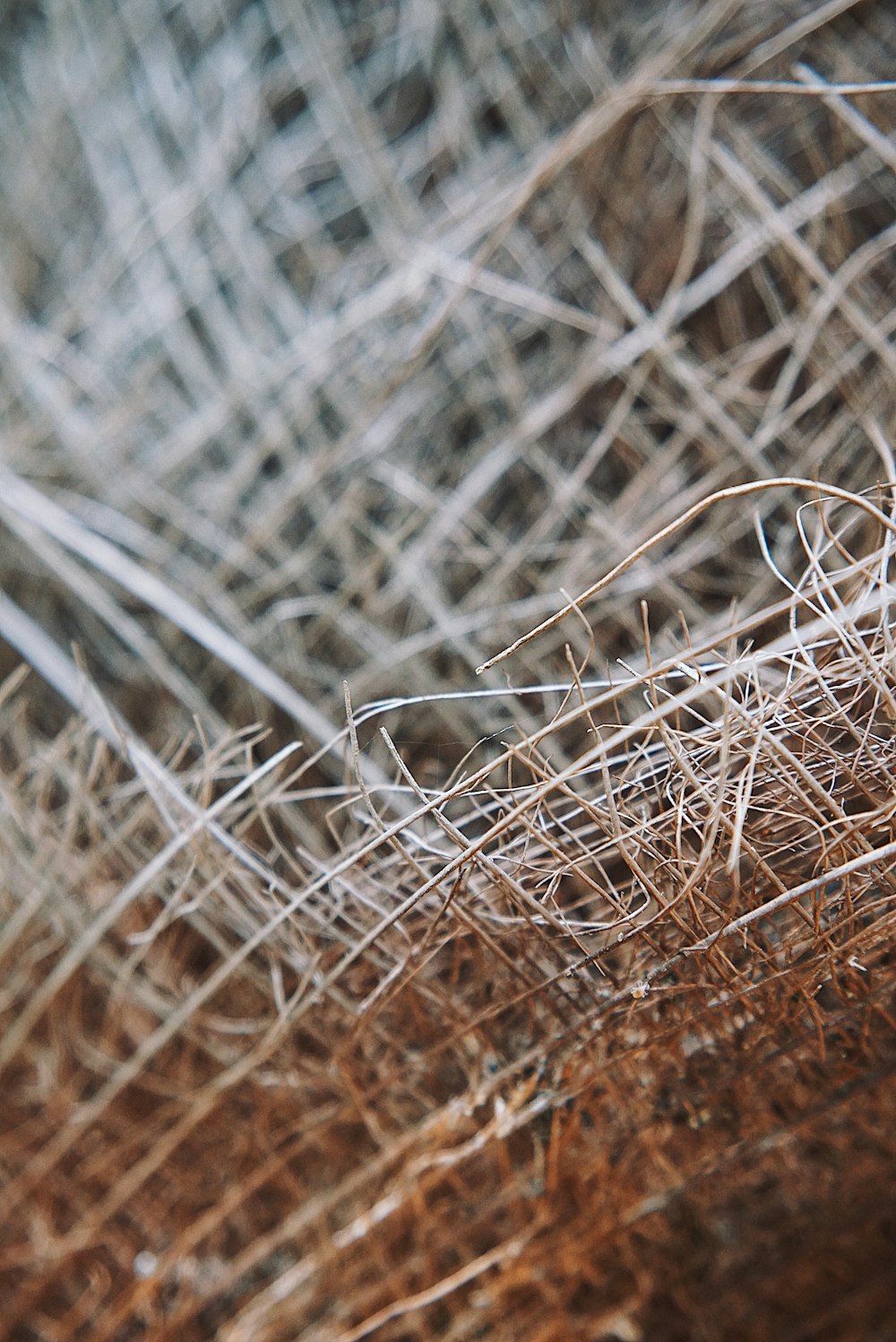a close up of a pile of hay