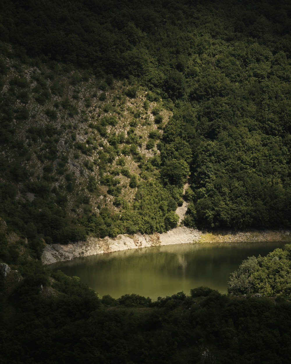 landscape photography of green mountain