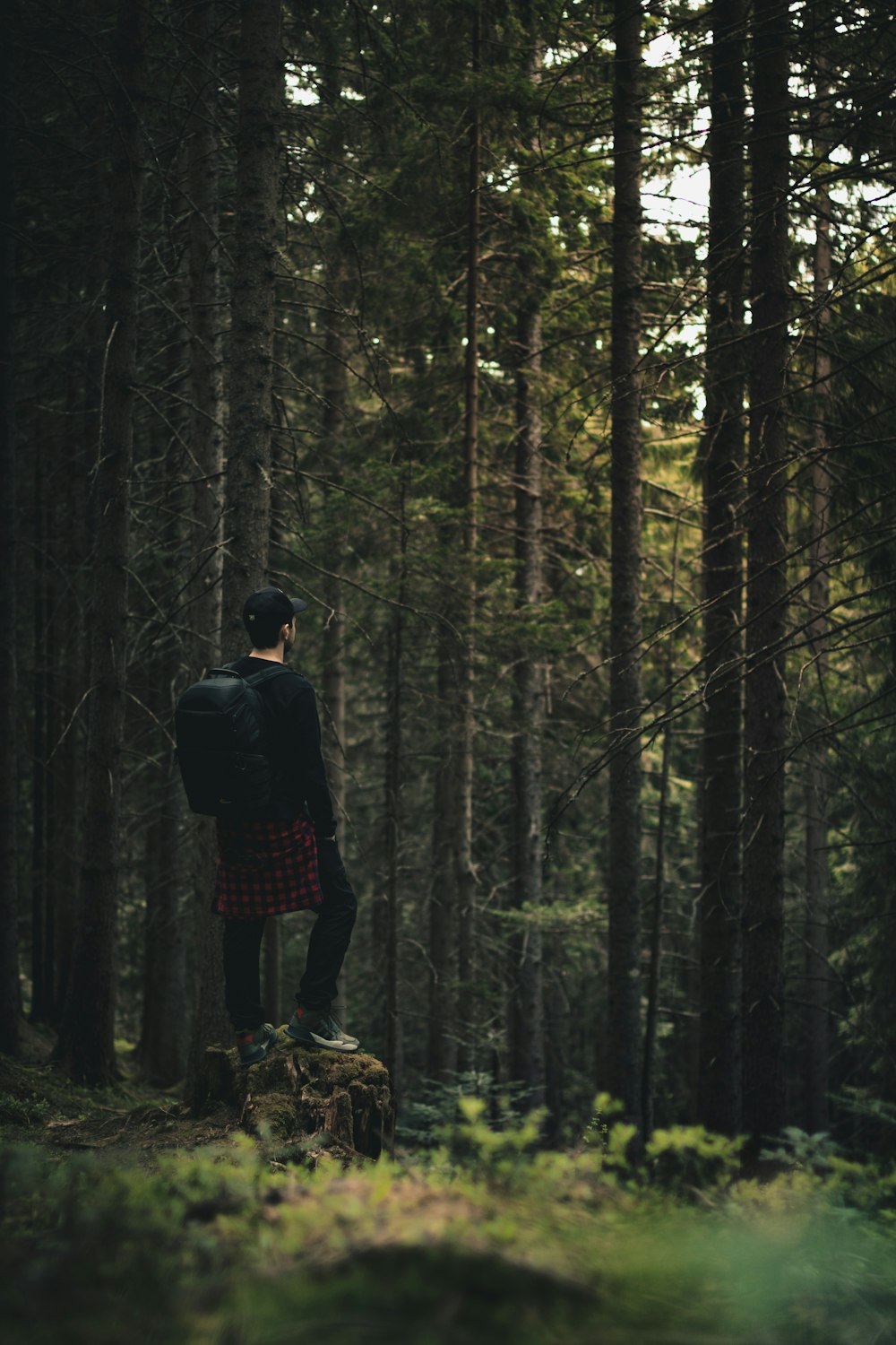 man standing on rock facing the trees