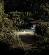 A small house with a tiled roof is nestled in lush green foliage and surrounded by a variety of trees and plants. Two empty benches sit on a grassy area in front of the house, creating a tranquil outdoor scene.