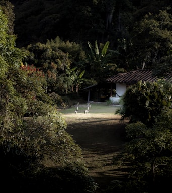 A tranquil garden with a small house.