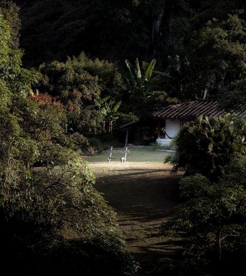 A small house with a tiled roof is nestled in lush green foliage and surrounded by a variety of trees and plants. Two empty benches sit on a grassy area in front of the house, creating a tranquil outdoor scene.