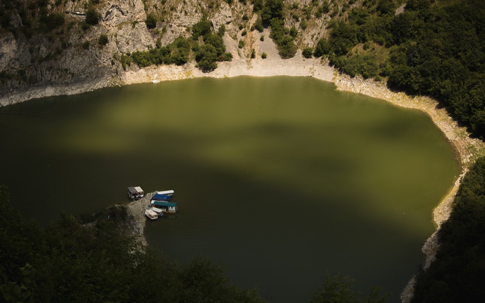 body of water beside trees