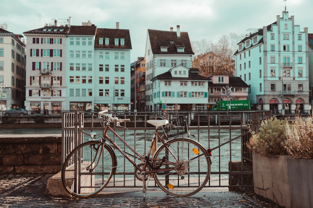 Town photo spot Zürich Lindenhof