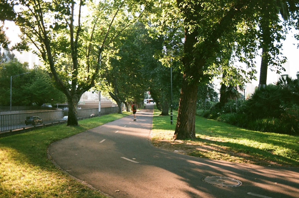 person standing in the middle of the road near trees