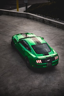 Interactive Dog Toy Puzzle