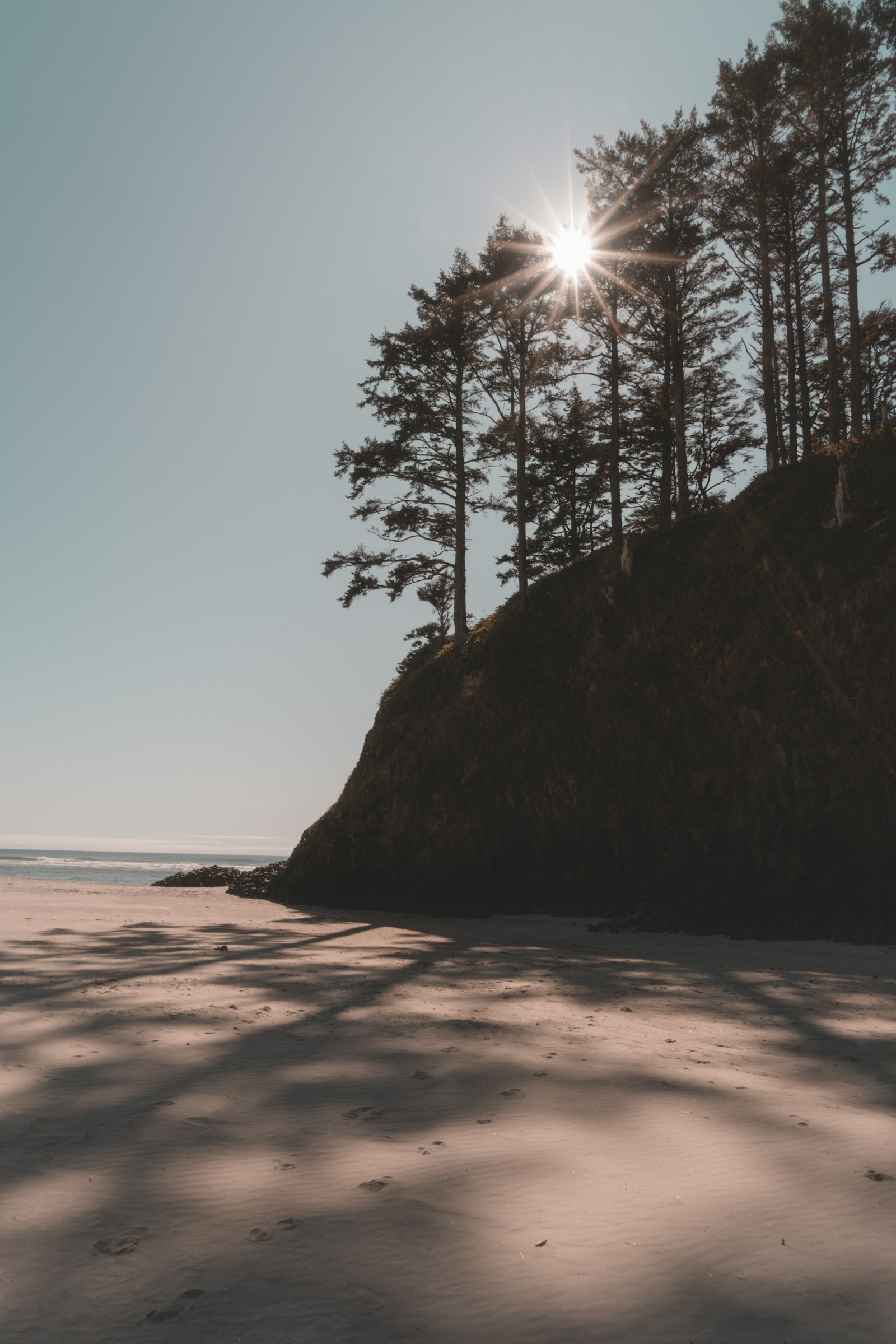 Sony a7R III + Sony Vario Tessar T* FE 24-70mm F4 ZA OSS sample photo. Shadow of trees on photography