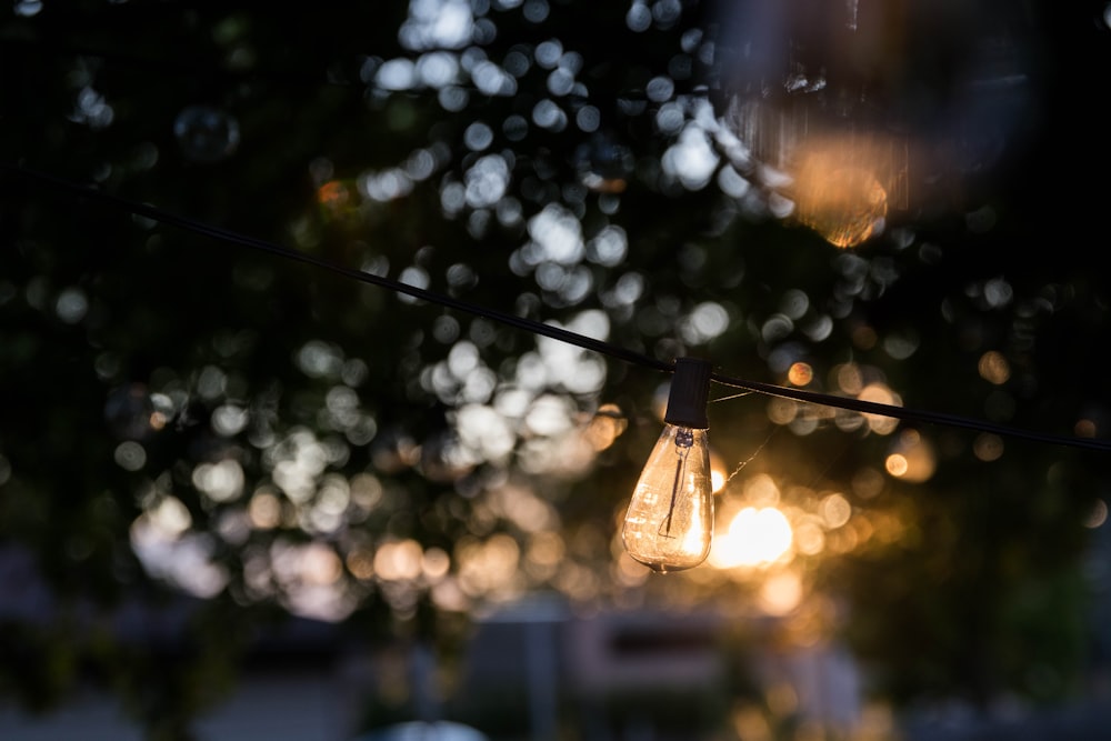 filament bulb behind bokeh lights