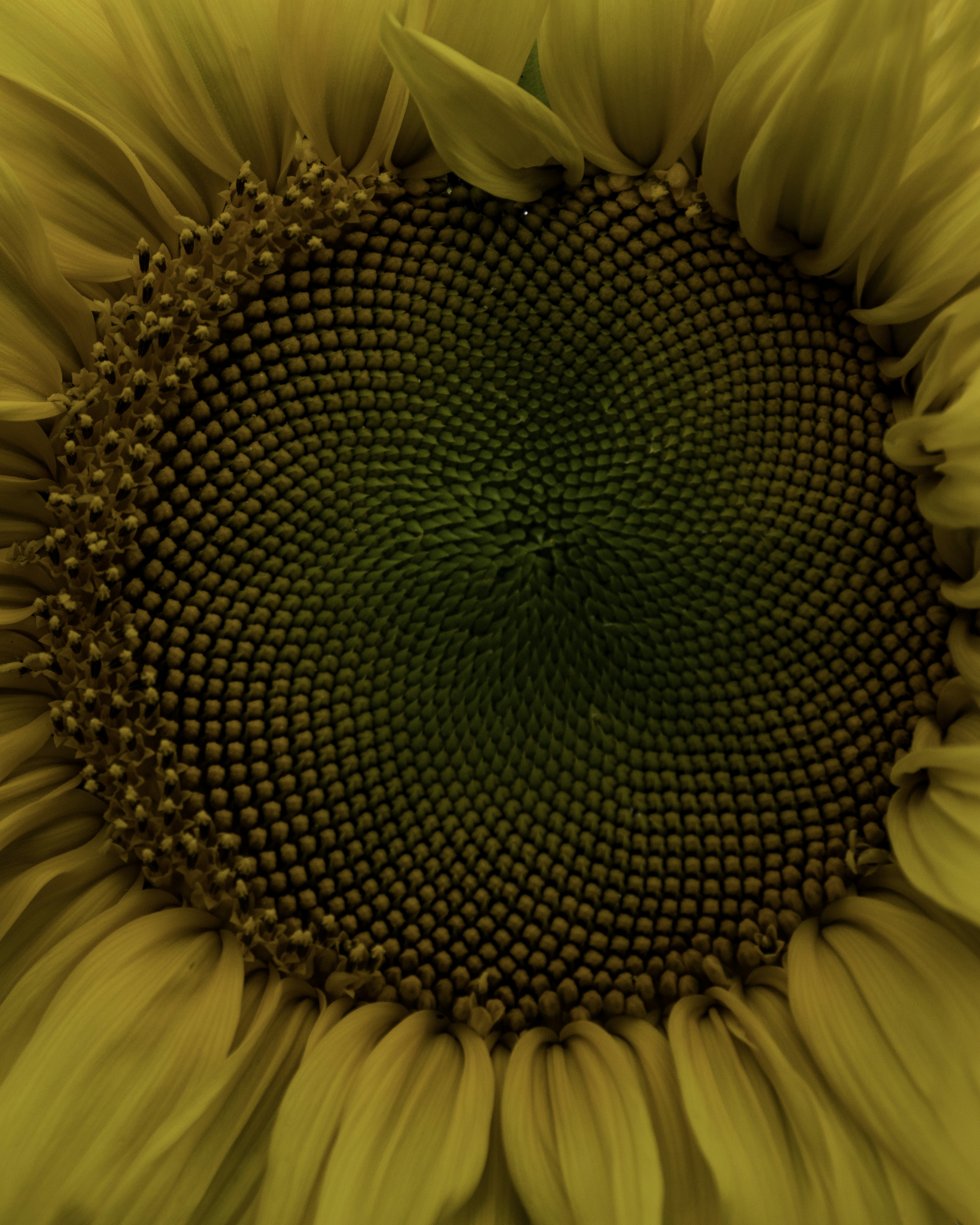 Photo by buying_thyme