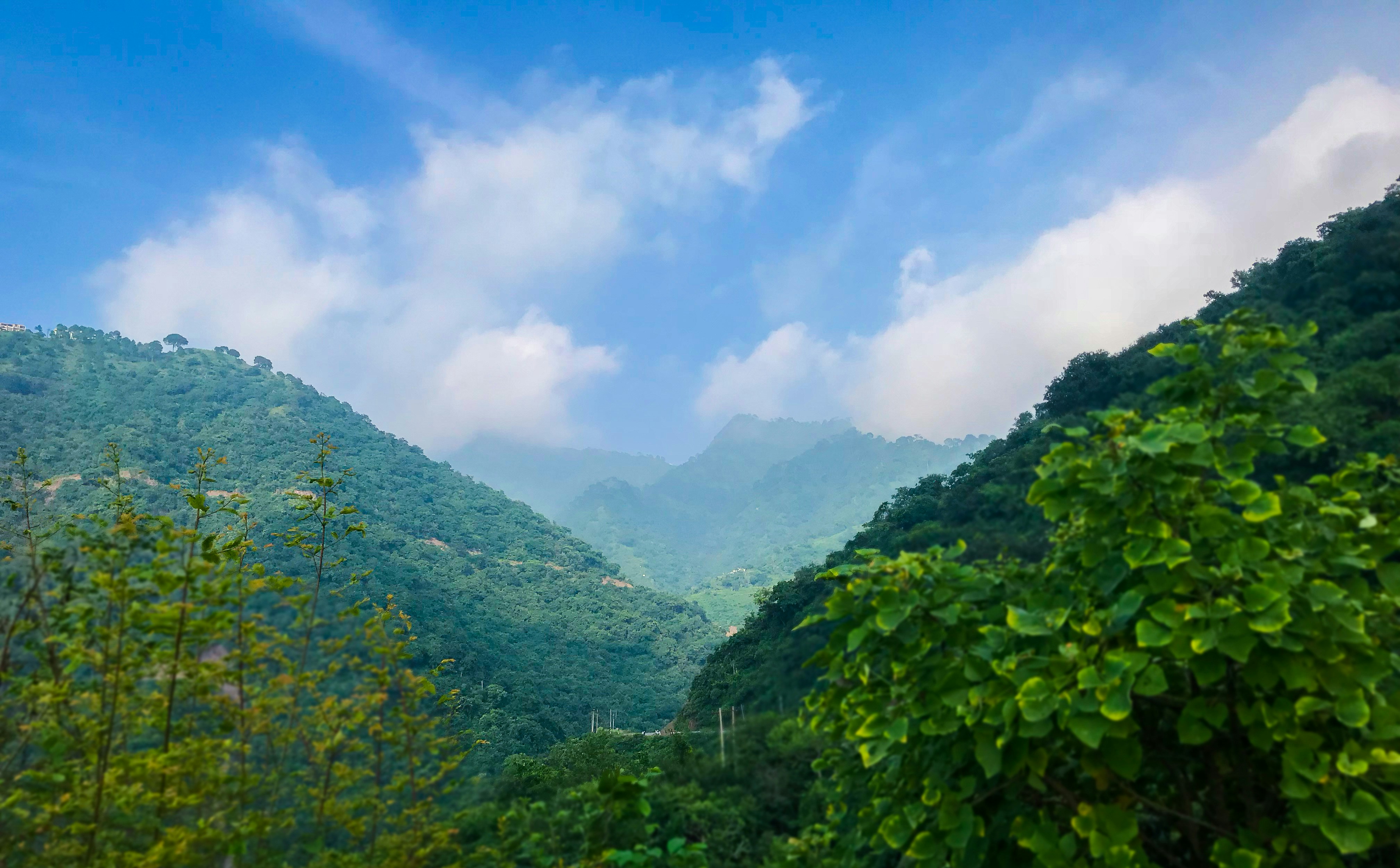 Photo by sandeepdelineates