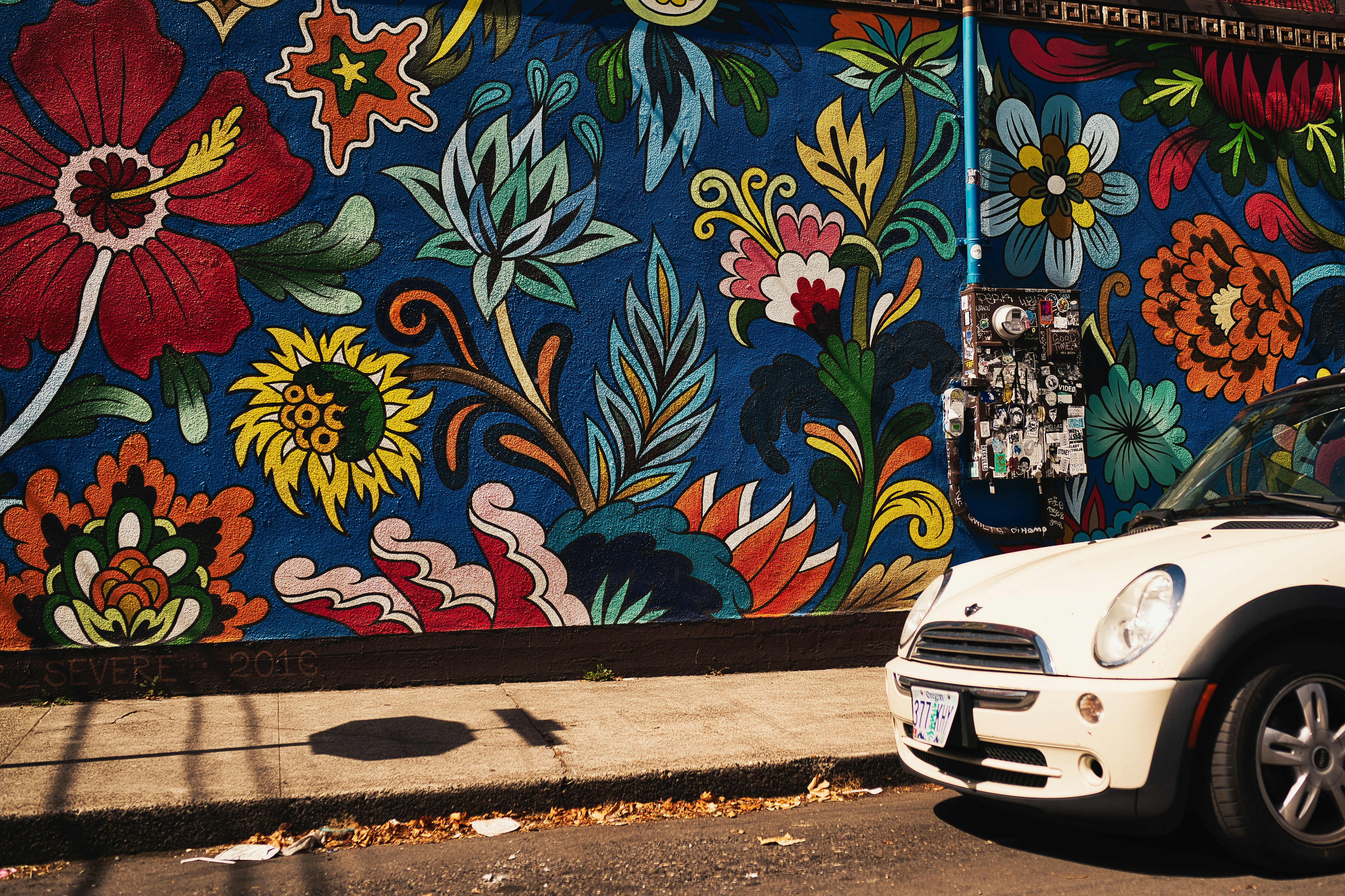 white vehicle beside multicolored floral graffiti, A wall like this just needs to be photographed.  Such details in the painting and effort to not have an ordinary wall.