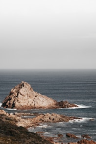 seashore during daytime