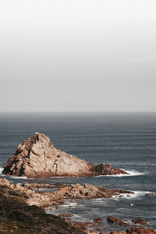 seashore during daytime in Cape Leeuwin Australia