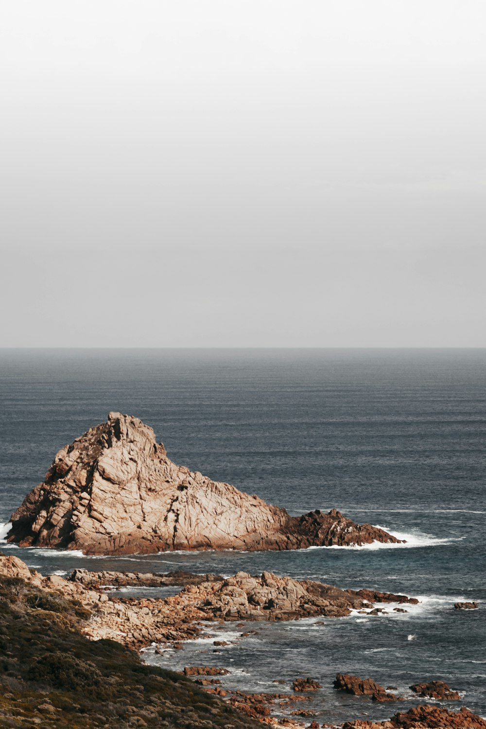 seashore during daytime