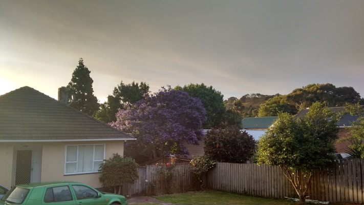 A suburban residential area with a small beige house featuring a tiled roof and adjacent green lawn. Several trees and a wooden fence border the property, including a prominent tree with striking purple flowers in the front yard. A green car is parked on the driveway, and the sky is overcast with a muted gray tone.