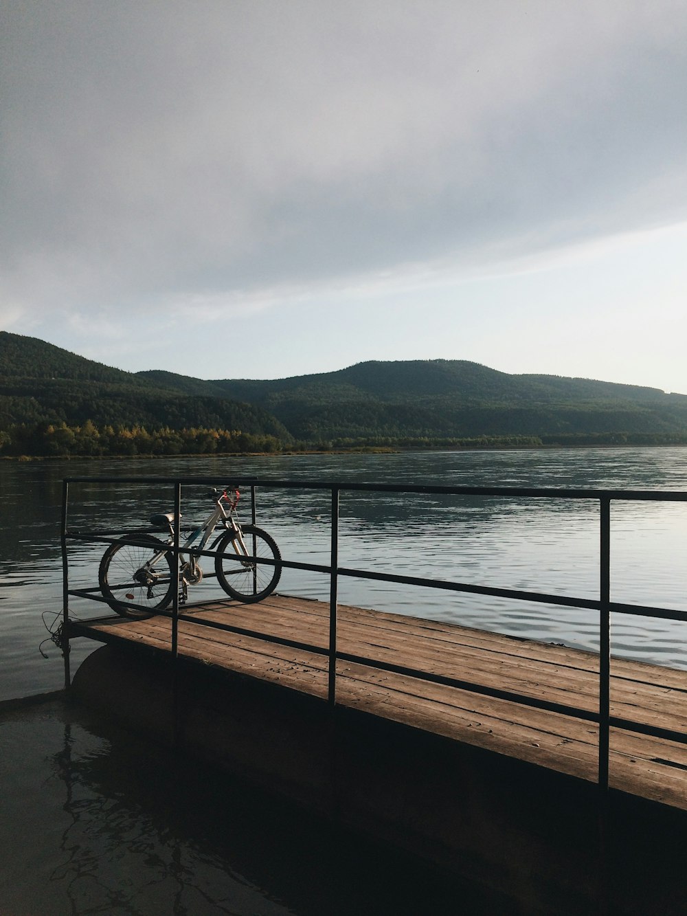 brown and black dock