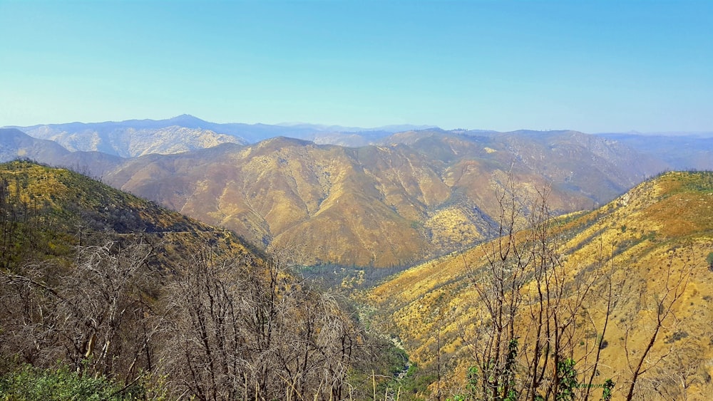 brown mountain photo during daytime