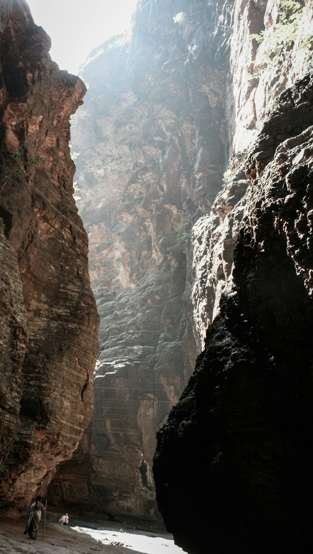 sunlight on cave during daytime