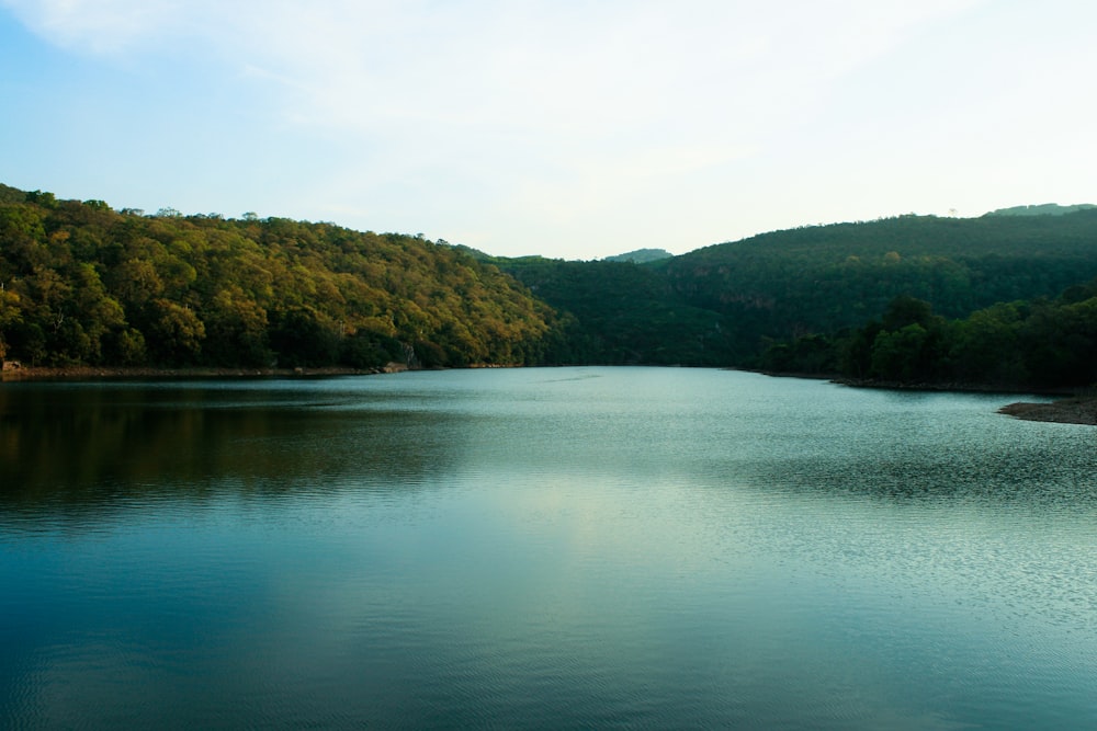 body of water near trees