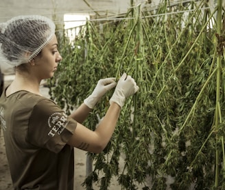 woman holds plants