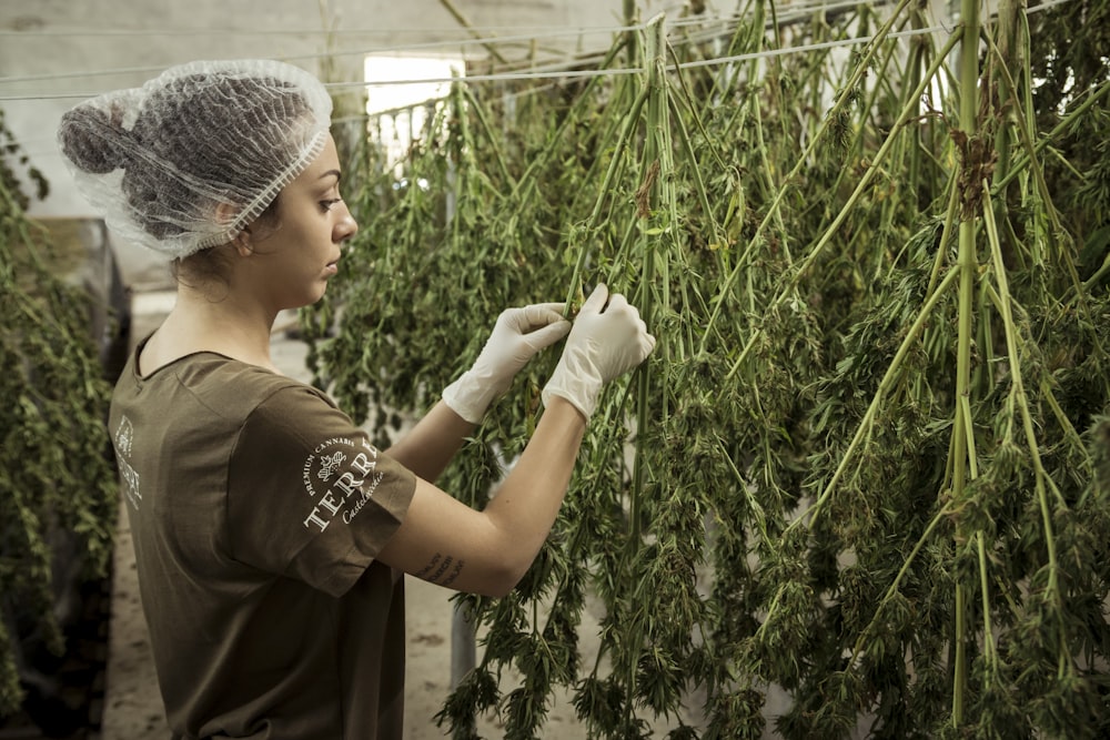 Une femme tient des plantes