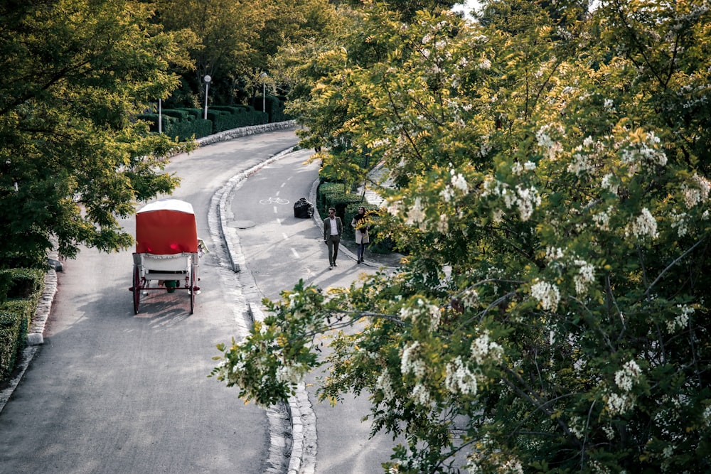 red vehicle on road between trees