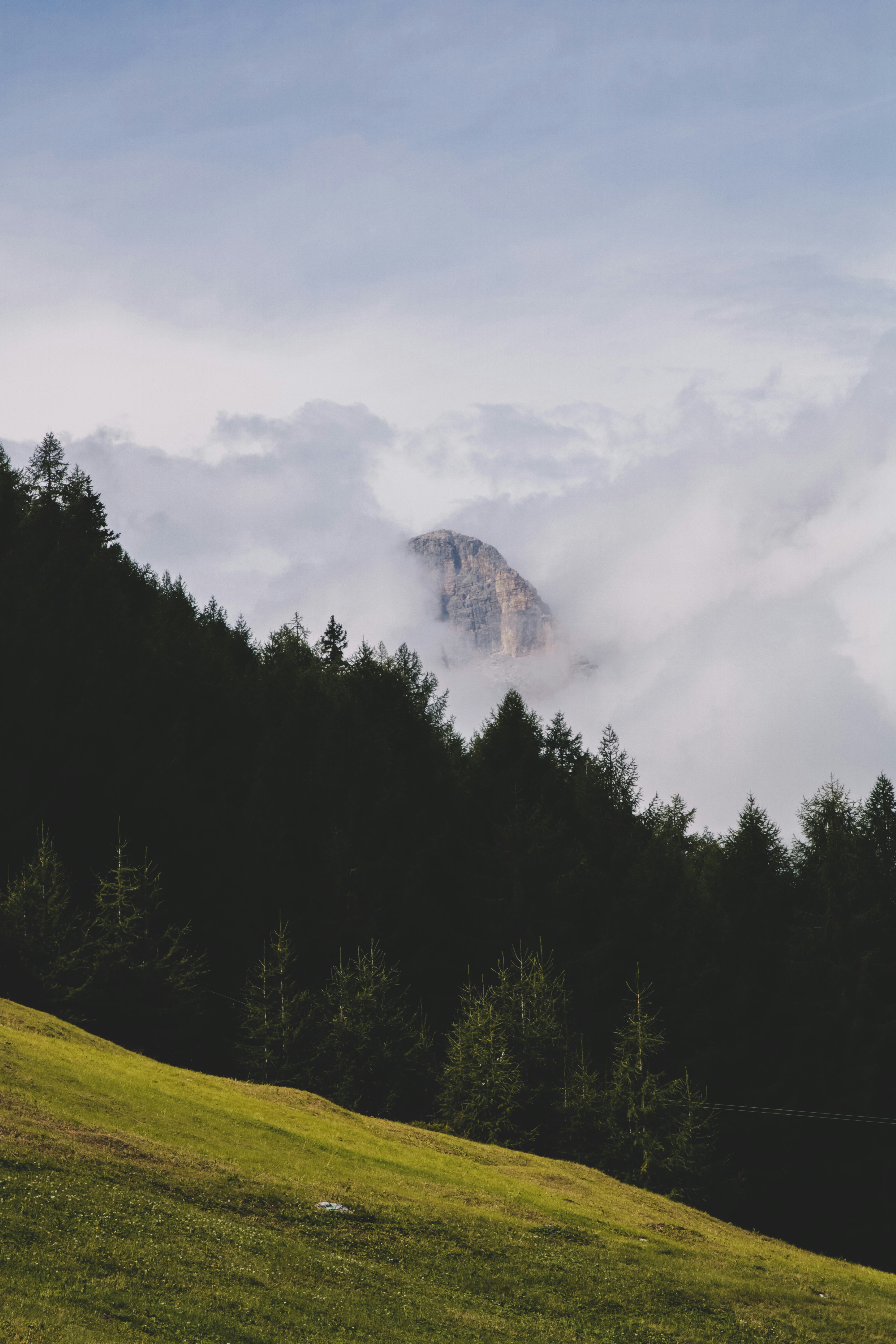 Photo by andreaferrario