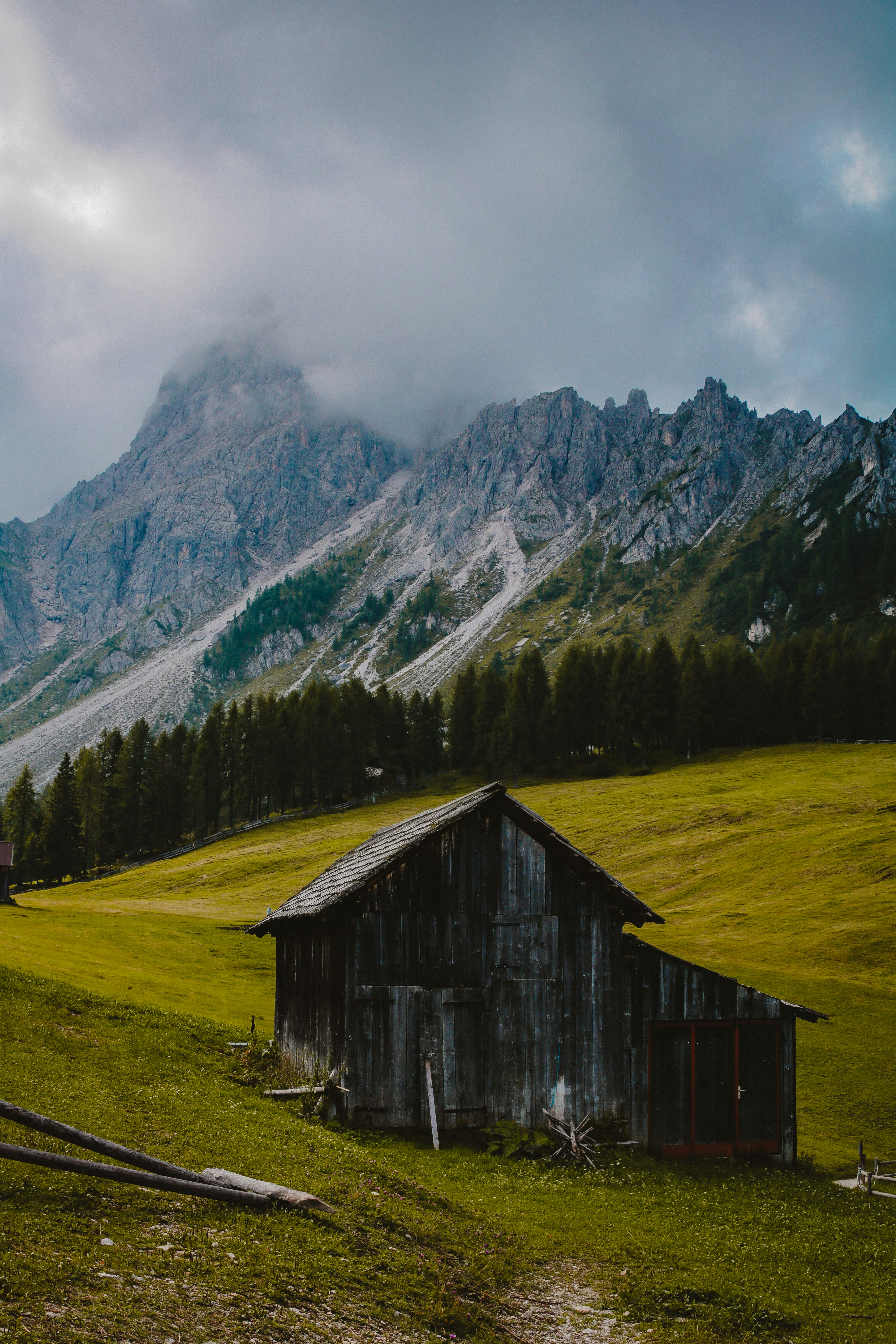 Photo by andreaferrario