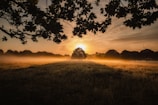 green field during golden hour